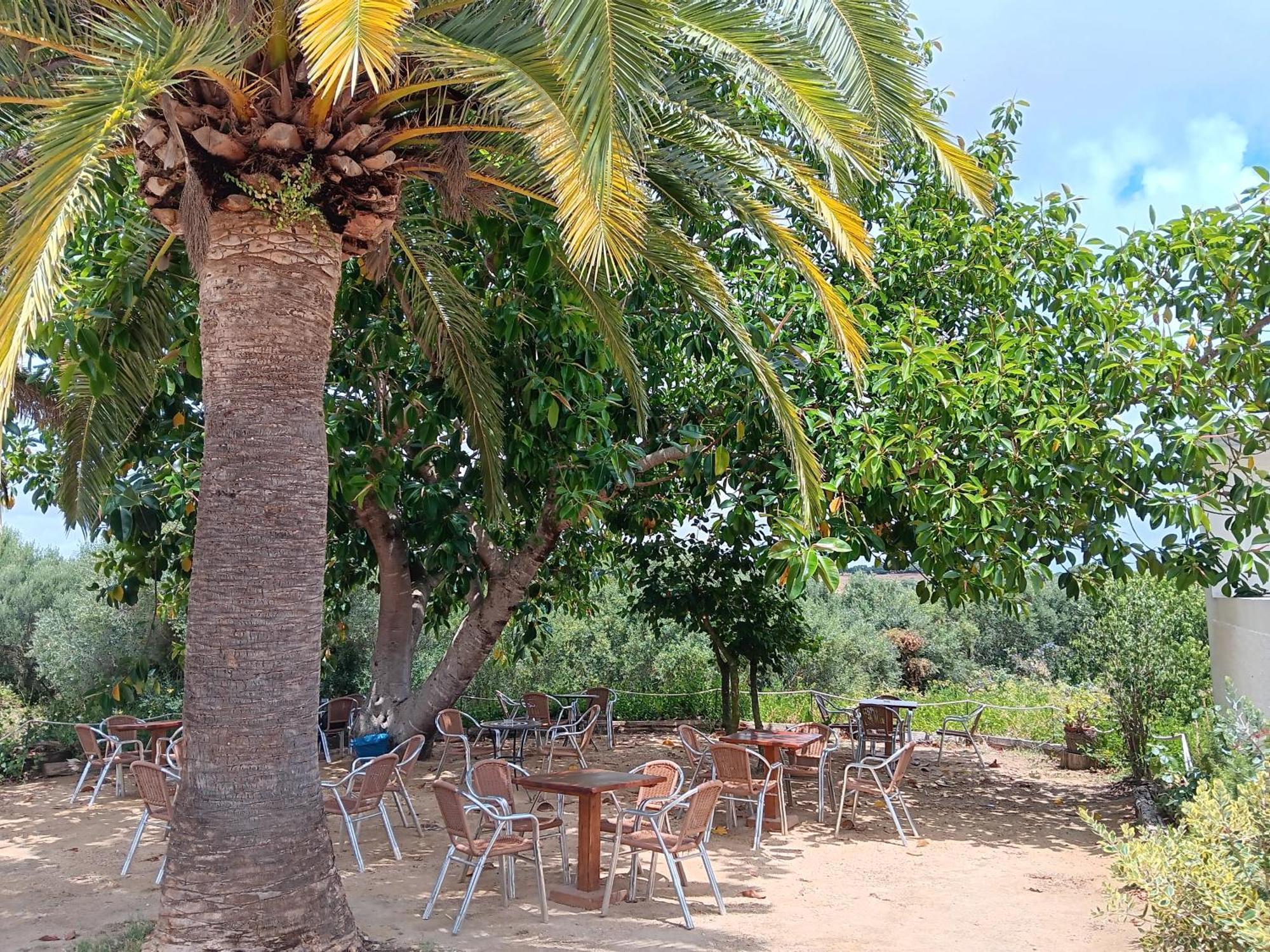 El Palomar De La Brena Hotell Barbate Eksteriør bilde