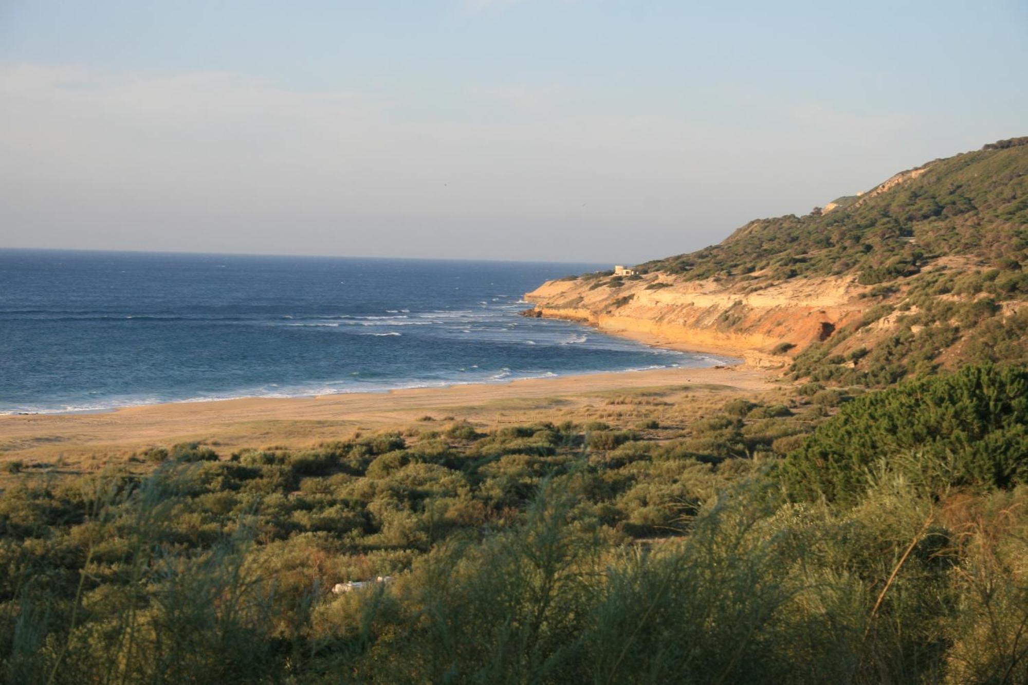 El Palomar De La Brena Hotell Barbate Eksteriør bilde